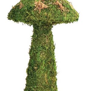 Mossy Mushroom